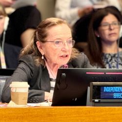 Ana María Cetto Kramis speaking at the First Committee of the General Assembly, on 21 October. (Photo: Zhandos Issayev)