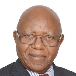 TWAS Fellow Antonino Zichichi